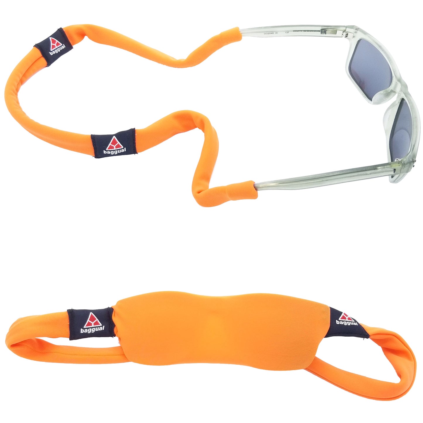 Hunting Orange Glasskin